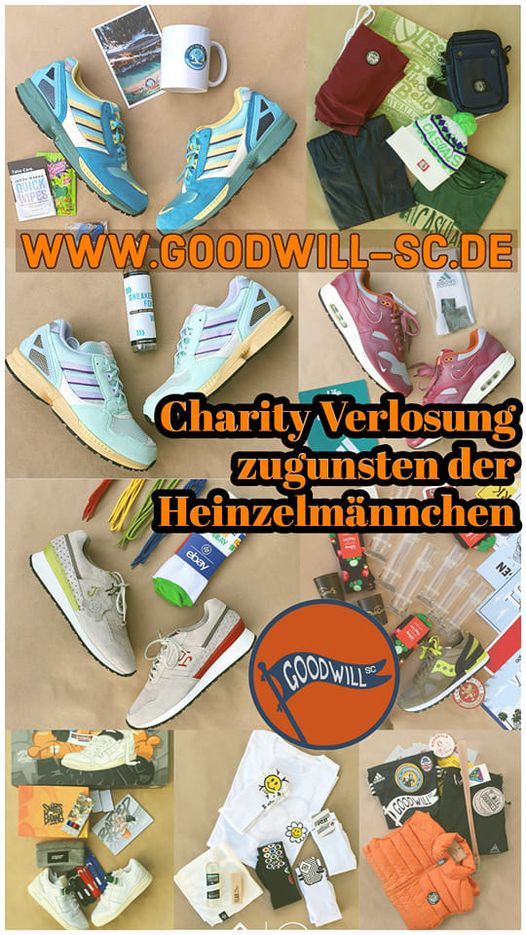 Goodwill sc2